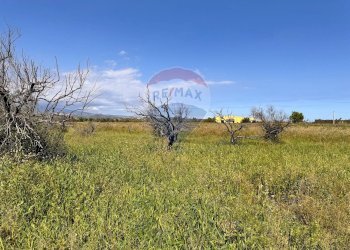 Giardino - Terreno agricolo Contrada Maddalena
 
snc, Belpasso - foto 2
