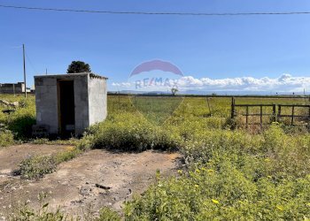 Giardino - Terreno agricolo Contrada Maddalena
 
snc, Belpasso - foto 5