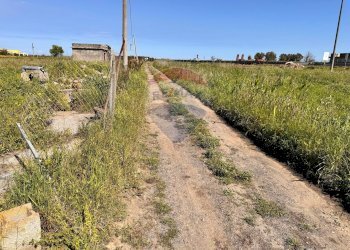 Giardino - Terreno agricolo Contrada Maddalena
 
snc, Belpasso - foto 6