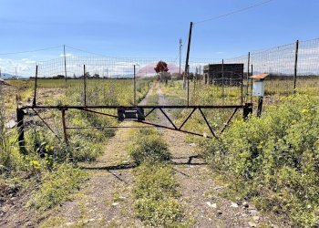 Giardino - Terreno agricolo Contrada Maddalena
 
snc, Belpasso - foto 9