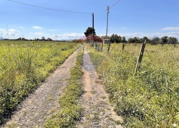 Giardino - Terreno agricolo Contrada Maddalena
 
snc, Belpasso - foto 10