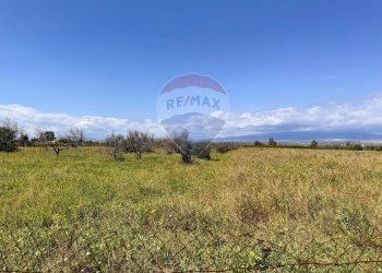 Vista delle montagne - Terreno agricolo Contrada Maddalena
 
snc, Belpasso - foto 11
