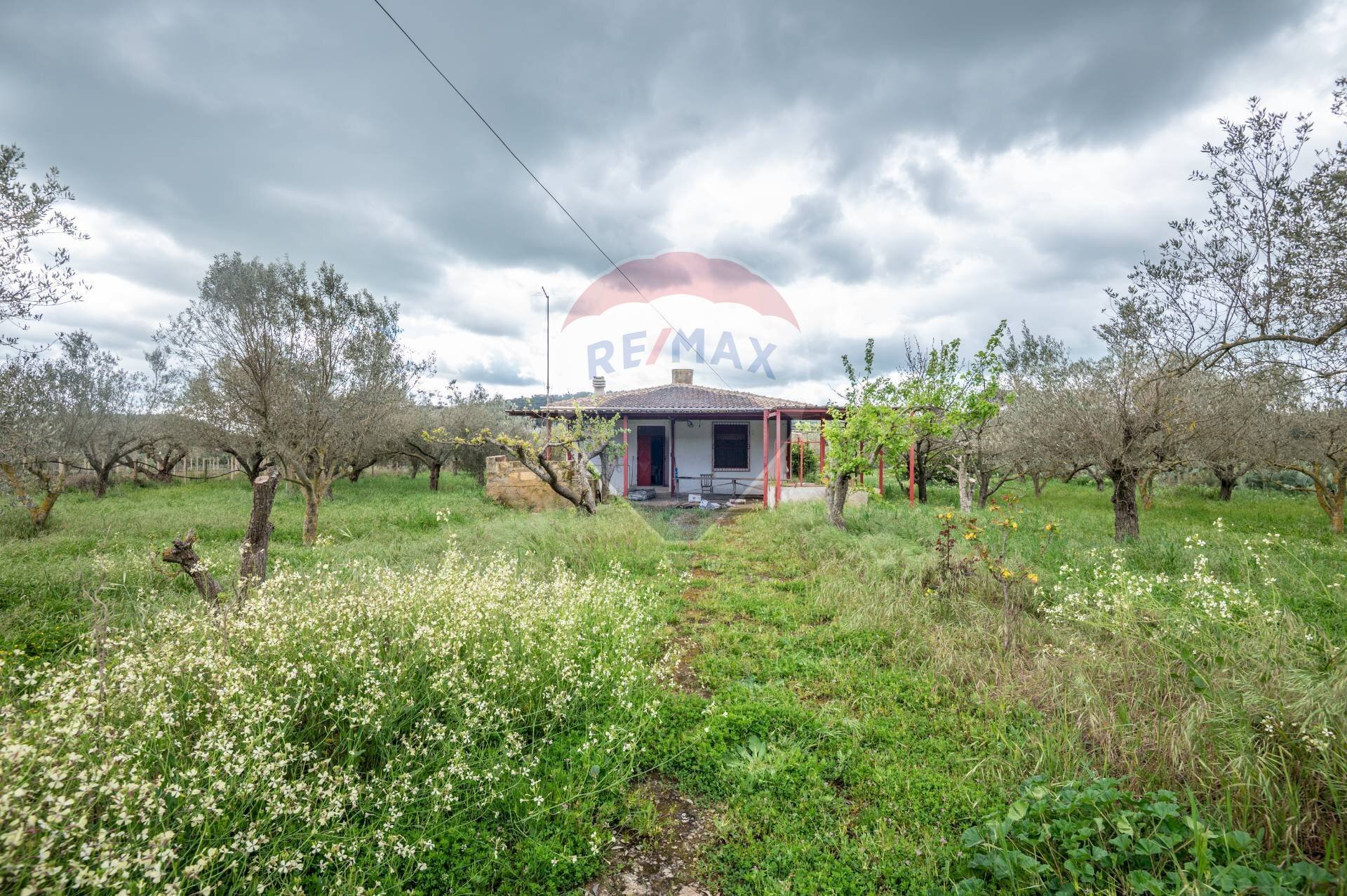 Giardino - Casa indipendente Contrada Cimia - Sp13, Caltagirone - foto 1