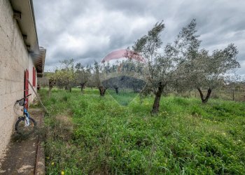 Giardino - Casa indipendente Contrada Cimia - Sp13, Caltagirone - foto 19