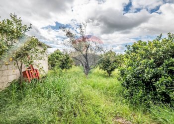 Giardino - Casa indipendente Contrada Cimia - Sp13, Caltagirone - foto 24