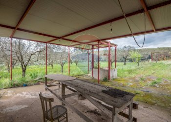 Giardino - Casa indipendente Contrada Cimia - Sp13, Caltagirone - foto 26