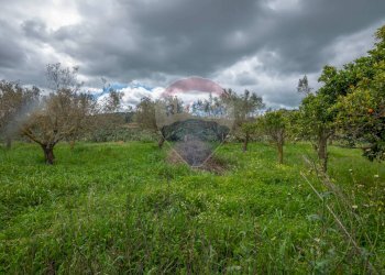 Giardino - Casa indipendente Contrada Cimia - Sp13, Caltagirone - foto 30