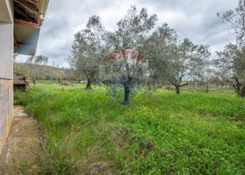 Giardino - Casa indipendente Contrada Cimia - Sp13, Caltagirone - foto 31