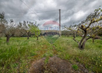 Giardino - Casa indipendente Contrada Cimia - Sp13, Caltagirone - foto 33