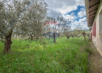 Giardino - Casa indipendente Contrada Cimia - Sp13, Caltagirone - foto 34