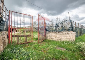 Giardino - Casa indipendente Contrada Cimia - Sp13, Caltagirone - foto 35