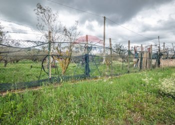 Giardino - Casa indipendente Contrada Cimia - Sp13, Caltagirone - foto 36
