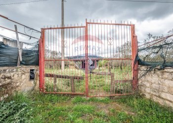 Giardino - Casa indipendente Contrada Cimia - Sp13, Caltagirone - foto 37