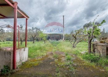 Giardino - Casa indipendente Contrada Cimia - Sp13, Caltagirone - foto 40
