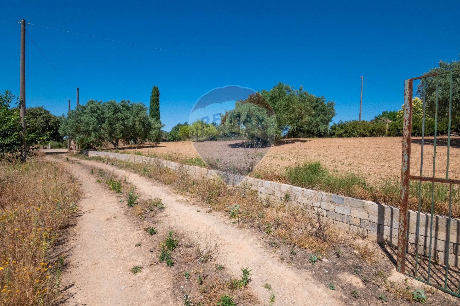 Giardino - Agricultural land Via Gianbattista Tiepolo
114, Caltagirone - photo 3