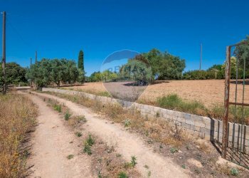 Giardino - Terreno agricolo Via Gianbattista Tiepolo
 
114, Caltagirone - foto 3