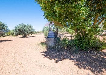 Giardino - Terreno agricolo Via Gianbattista Tiepolo
 
114, Caltagirone - foto 13