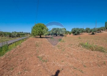 Giardino - Terreno agricolo Via Gianbattista Tiepolo
 
114, Caltagirone - foto 14