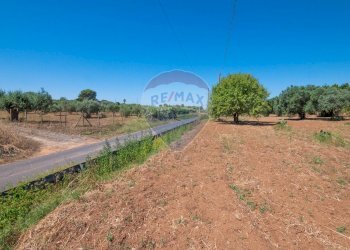 Giardino - Terreno agricolo Via Gianbattista Tiepolo
 
114, Caltagirone - foto 15