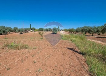 Giardino - Terreno agricolo Via Gianbattista Tiepolo
 
114, Caltagirone - foto 16