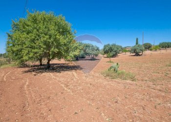 Giardino - Terreno agricolo Via Gianbattista Tiepolo
 
114, Caltagirone - foto 18
