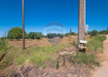 Giardino - Terreno agricolo Via Gianbattista Tiepolo
 
114, Caltagirone - foto 19