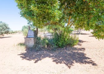 Giardino - Terreno agricolo Via Gianbattista Tiepolo
 
114, Caltagirone - foto 21