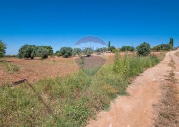 Giardino - Terreno agricolo Via Gianbattista Tiepolo
 
114, Caltagirone - foto 23