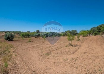 Non correlato - Terreno agricolo Via Gianbattista Tiepolo
 
114, Caltagirone - foto 26