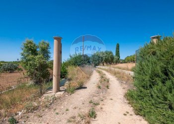 Giardino - Terreno agricolo Via Gianbattista Tiepolo
 
114, Caltagirone - foto 27