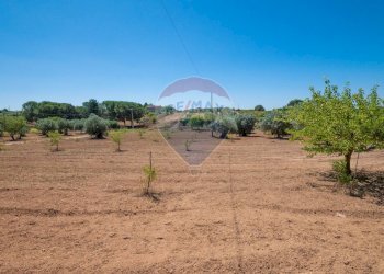 Vista delle montagne - Terreno agricolo Via Gianbattista Tiepolo
 
114, Caltagirone - foto 28