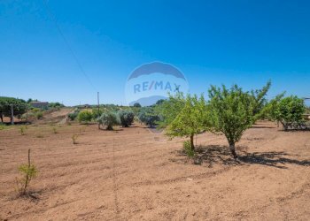 Vista delle montagne - Terreno agricolo Via Gianbattista Tiepolo
 
114, Caltagirone - foto 29