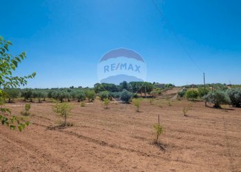 Vista delle montagne - Terreno agricolo Via Gianbattista Tiepolo
 
114, Caltagirone - foto 30