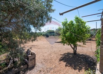 Giardino - Terreno agricolo Via Gianbattista Tiepolo
 
114, Caltagirone - foto 33