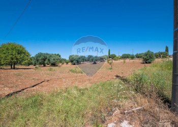 Non correlato - Terreno agricolo Via Gianbattista Tiepolo
 
114, Caltagirone - foto 36