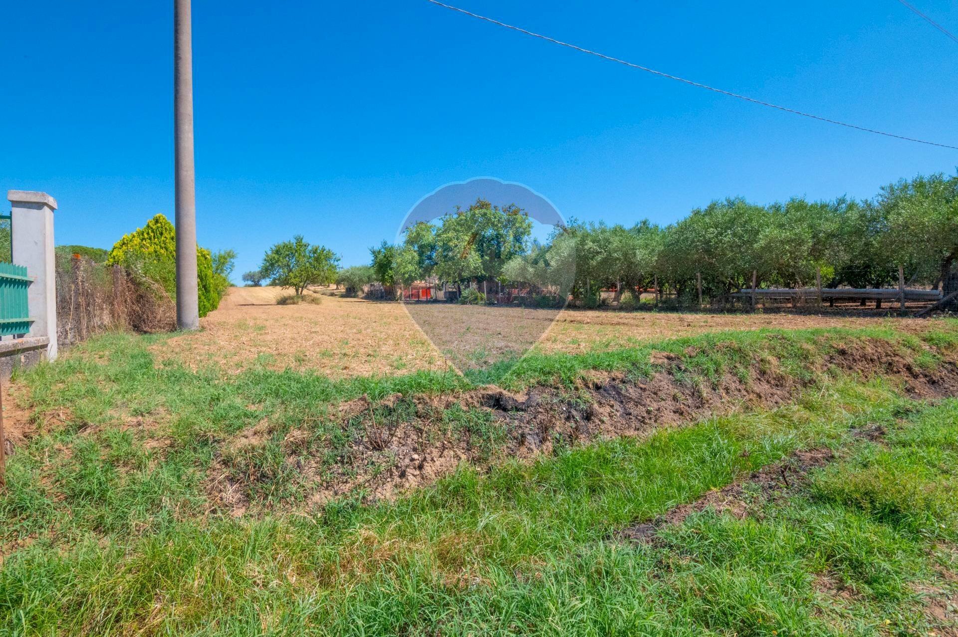 Giardino - Agricultural land via gianbattista tiepolo
104, Caltagirone - photo 3
