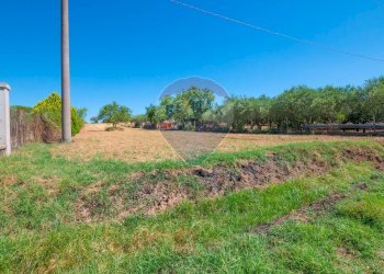 Giardino - Terreno agricolo via gianbattista tiepolo
 
104, Caltagirone - foto 3