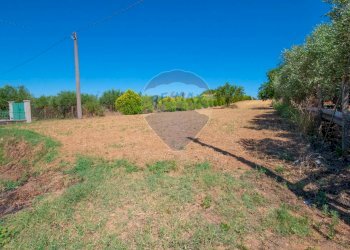 Giardino - Terreno agricolo via gianbattista tiepolo
 
104, Caltagirone - foto 4