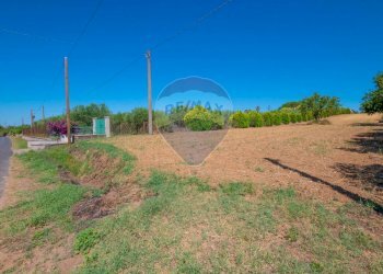 Giardino - Terreno agricolo via gianbattista tiepolo
 
104, Caltagirone - foto 5