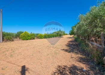 Giardino - Terreno agricolo via gianbattista tiepolo
 
104, Caltagirone - foto 7