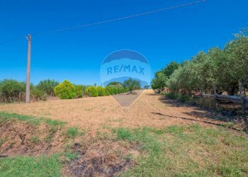 Giardino - Terreno agricolo via gianbattista tiepolo
 
104, Caltagirone - foto 8
