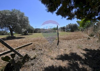 Giardino - Terreno agricolo via gianbattista tiepolo
 
104, Caltagirone - foto 9