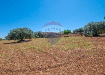 Giardino - Terreno agricolo via gianbattista tiepolo
 
104, Caltagirone - foto 10