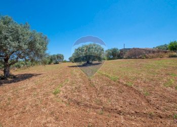 Giardino - Terreno agricolo via gianbattista tiepolo
 
104, Caltagirone - foto 11
