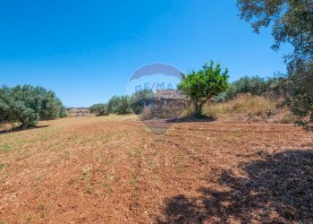 Giardino - Terreno agricolo via gianbattista tiepolo
 
104, Caltagirone - foto 12