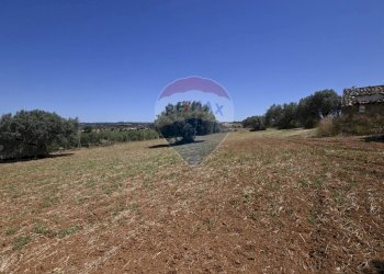 Giardino - Terreno agricolo via gianbattista tiepolo
 
104, Caltagirone - foto 13