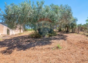 Giardino - Terreno agricolo via gianbattista tiepolo
 
104, Caltagirone - foto 16