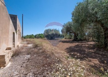 Giardino - Terreno agricolo via gianbattista tiepolo
 
104, Caltagirone - foto 17