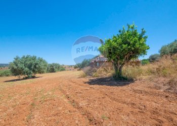 Giardino - Terreno agricolo via gianbattista tiepolo
 
104, Caltagirone - foto 22