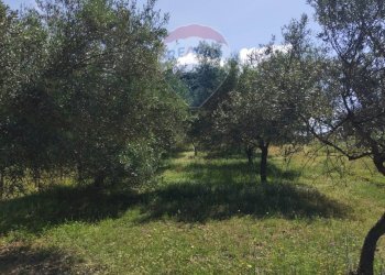 Giardino - Villa contrada corvo, Vizzini - foto 25